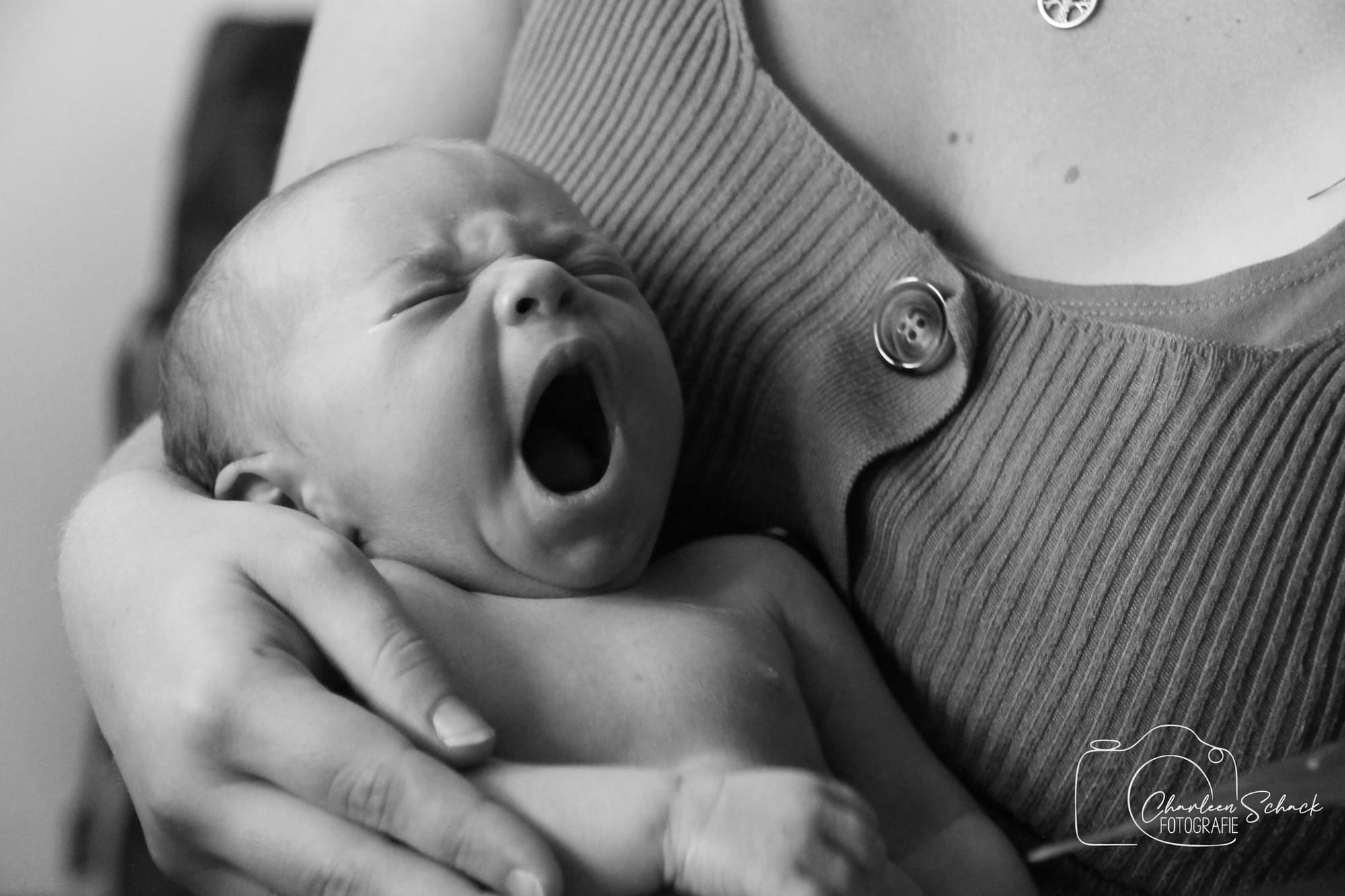Newborn (3)