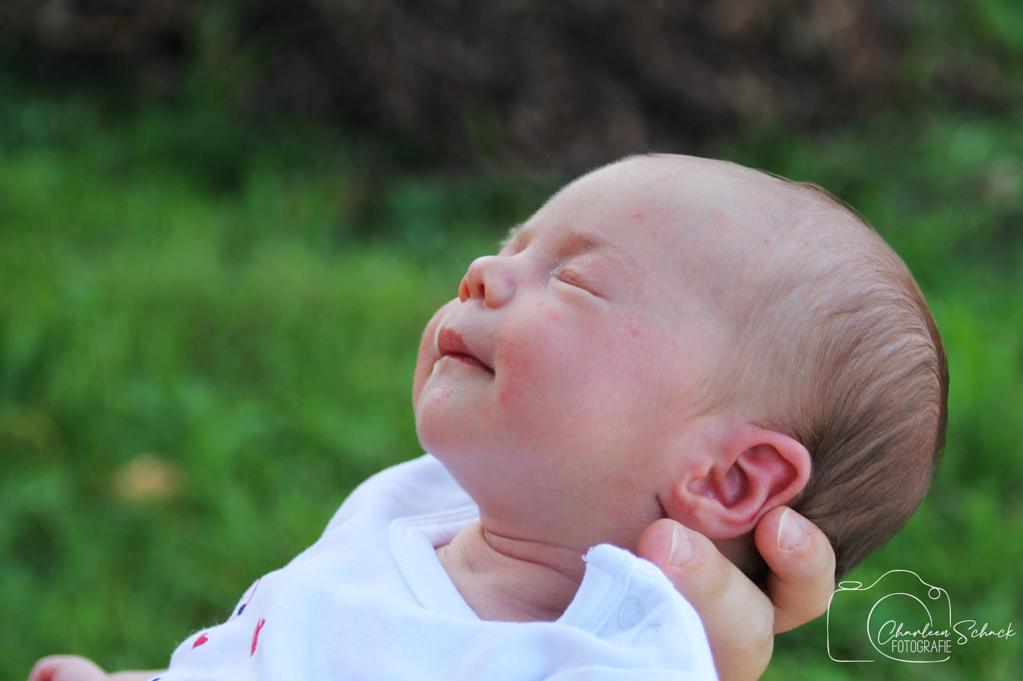 Newborn (4)