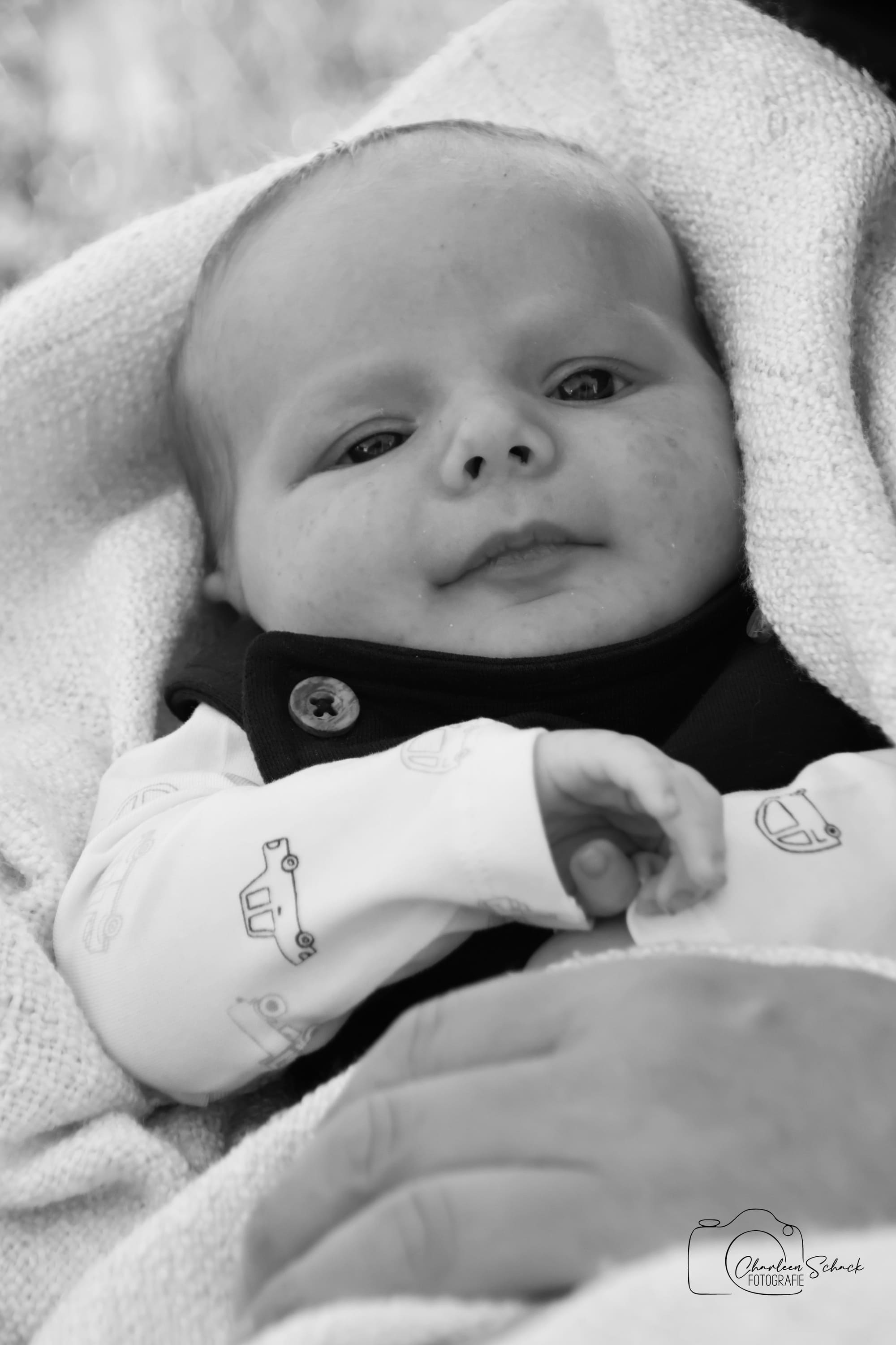 Newborn (6)
